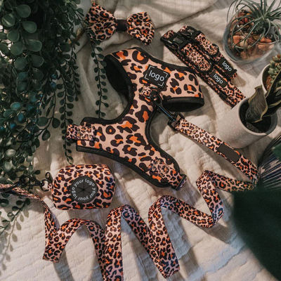 Αγορά Παιδικό σκυλί λουρί και κολάρο χωρίς τράβηγμα Neoprene Mesh μαλακό γιλέκο σκύλου για κατοικίδιο ζώο περπάτημα και τρέξιμο ηλεκτρονική κατασκευή