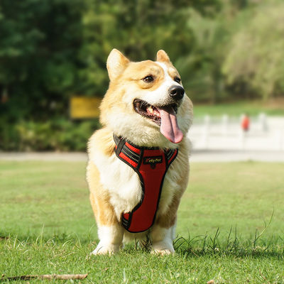 Αγορά Αδιάβροχο Χι-Βις Χάρνεϊ για σκύλους LED Light Up Dog Harness XS-XL ηλεκτρονική κατασκευή