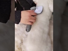 Μπλε αυτοκαθαριστικό σκυλί βούρτσα σκυλί αφαιρέτης μαλλιών με λειτουργία μασάζ