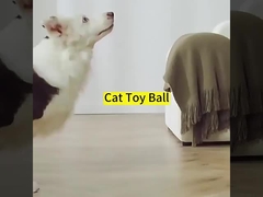 Παιδικό παιχνίδι για εκπαίδευση σκύλου για εσωτερική ψυχαγωγία