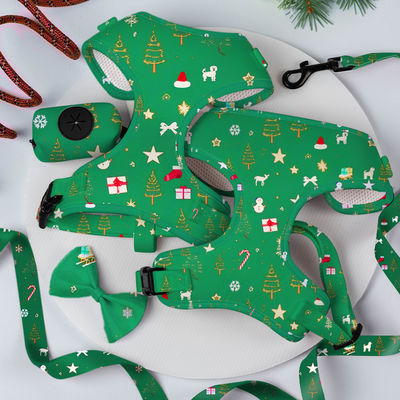 Λαϊκό Custom Προσαρμοσμένο σχεδιαστή πολυτελή χωρίς τράβηγμα ρυθμιζόμενο κολάρο λουρί bow tie και μπάντανα αναστρέψιμο σκυλί σχοινί σύνολο