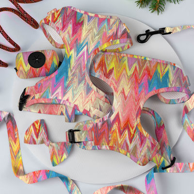 Νεοπρένιο Custom Color Dog Harness Sets με πολυτελείς σχεδιαστές Metal Buckle Leash και Collar