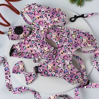 Ρυθμίσιμο Luxury Neoprene Mesh Soft Pet Dog Harness Set με εξατομικευμένο προσαρμοσμένο λογότυπο λουρί και OEM / ODM αποδεκτό