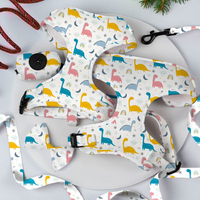 Αντιστρέψιμο μικρό σκυλί σχοινί και λουρί σετ πολυτελή μόδα σκυλί περπάτημα σετ